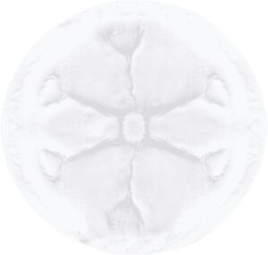 Absorvente para Seios 30 Unidades L...